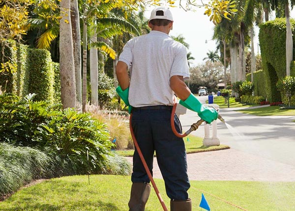 About Fernley NV Pest Control